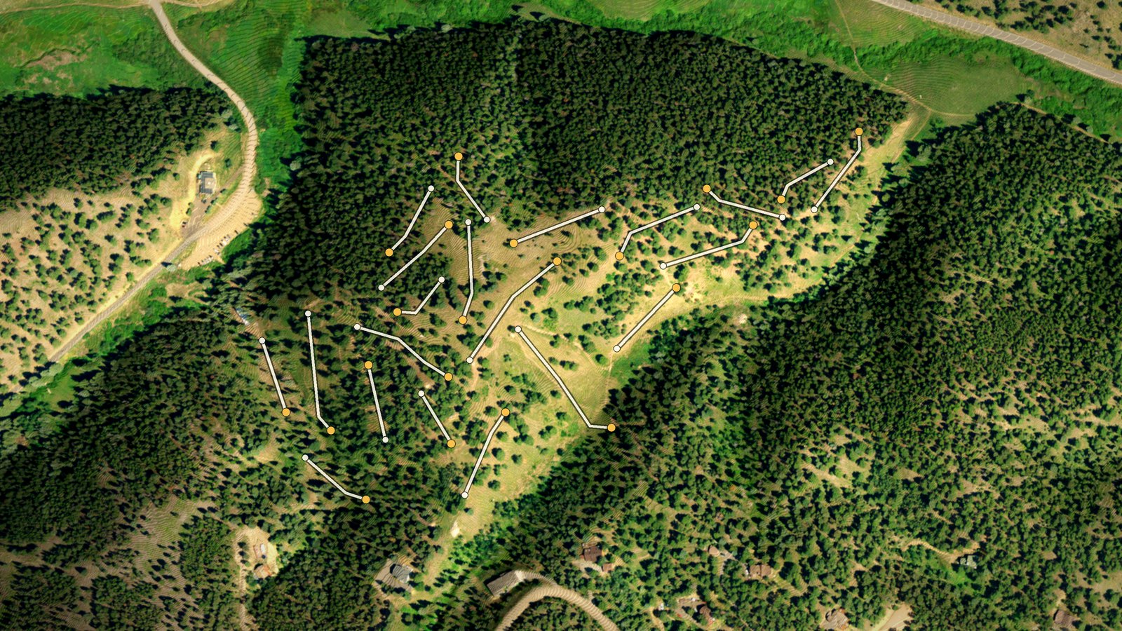 Wooded disc golf terrain at Beaver Ranch in xyzdisc