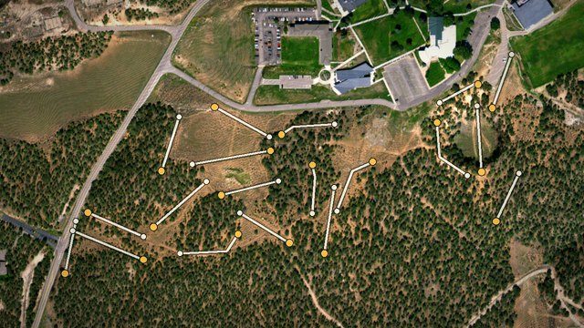 CMC Disc Golf Forest in xyzdisc